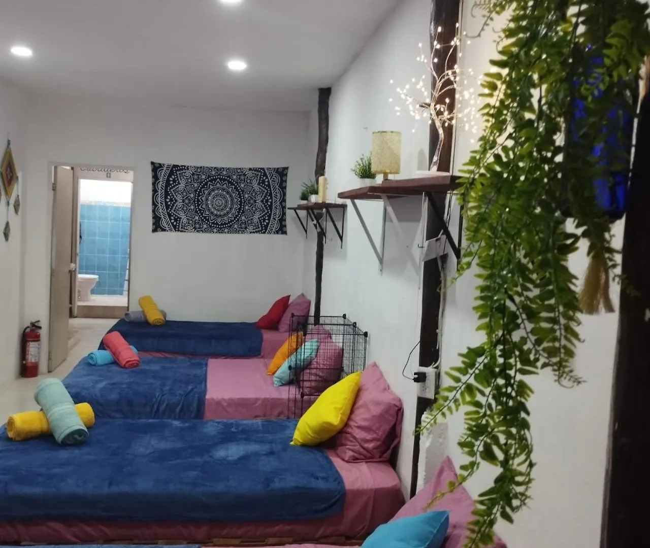 Starfish Aptmt No Isla Holbox Apartment
