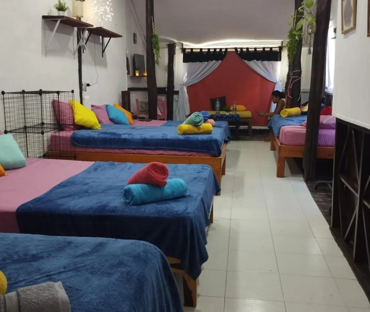 Starfish Aptmt No Isla Holbox