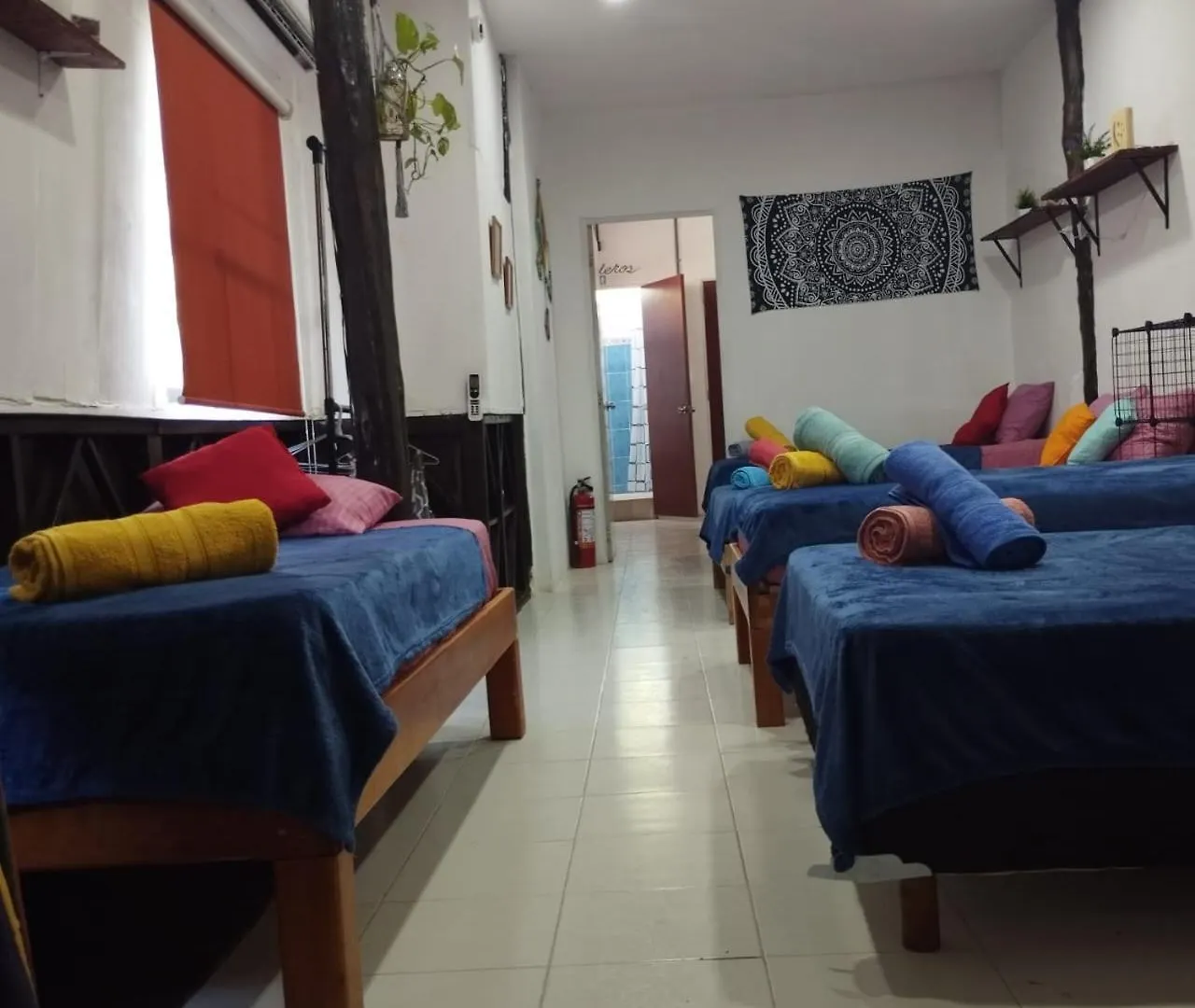Apartment Starfish Aptmt No Isla Holbox Mexico